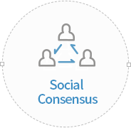 Social Consensus