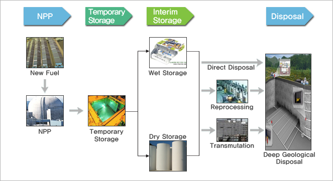 Power options radioactive trading