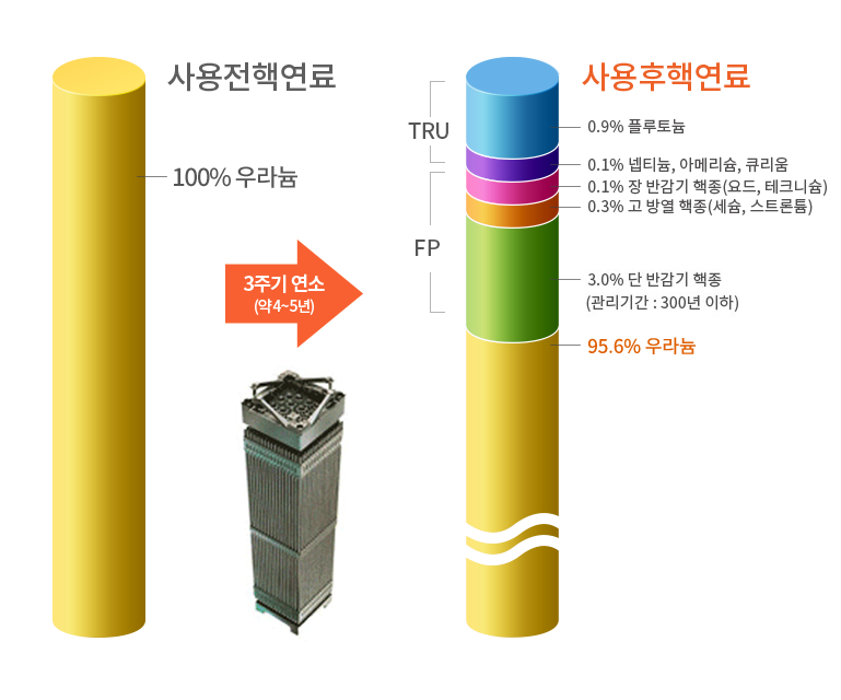 100% 우라늄으로 구성된 경수로형 사용전핵연료가 원자로에서 4년 정도 핵분열 후 플루토늄, 세슘, 스트론튬 등 다른 방사성물질로 구성비가 바뀌는 것을 설명합니다. 사용전핵연료: 100% 우라늄으로 구성된 경수로형 사용전핵연료입니다.
3주기연소: 원자로에서 3주기(약 4~5년) 연소됩니다. 사용후핵연료: 핵분열 후 초우라늄계 원소(TRU)인 0.9%의 플루토늄, 0.1%의 넵티늄/아메리슘/큐리움과 핵분열생성물(FP)인 0.1% 장 반감기 핵종(요드, 테크니슘), 0.3% 고 방열 핵종(세슘, 스트론튬), 3.0% 단 반감기 핵종(관리기간:300년 이하)으로 구성되며 나머지 95.6%는 우라늄입니다.