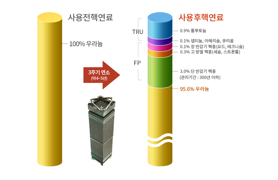 100% 우라늄으로 구성된 경수로형 사용전핵연료가 원자로에서 4년 정도 핵분열 후 플루토늄, 세슘, 스트론튬 등 다른 방사성물질로 구성비가 바뀌는 것을 설명합니다. 사용전핵연료: 100% 우라늄으로 구성된 경수로형 사용전핵연료입니다.
3주기연소: 원자로에서 3주기(약 4~5년) 연소됩니다. 사용후핵연료: 핵분열 후 초우라늄계 원소(TRU)인 0.9%의 플루토늄, 0.1%의 넵티늄/아메리슘/큐리움과 핵분열생성물(FP)인 0.1% 장 반감기 핵종(요드, 테크니슘), 0.3% 고 방열 핵종(세슘, 스트론튬), 3.0% 단 반감기 핵종(관리기간:300년 이하)으로 구성되며 나머지 95.6%는 우라늄입니다.