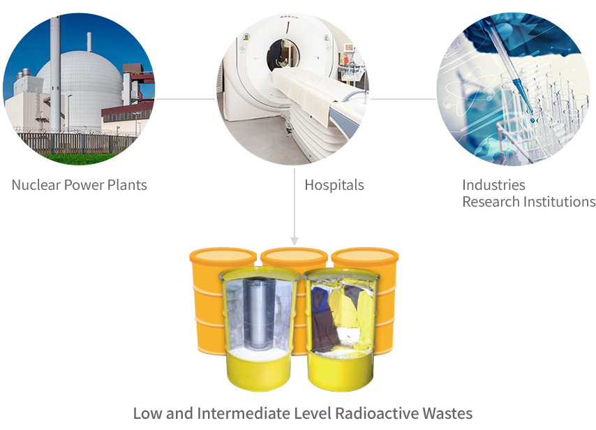 Low and Intermediate Level Radioactive Waste(nuclear power plants, hospitals, industries/research institutions)