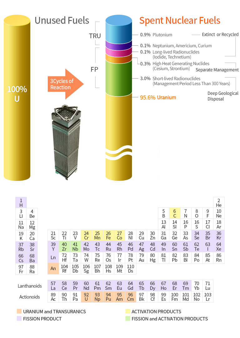 Unused Fuels, 3Cycles of Reaction, Spent Nuclear Fuels