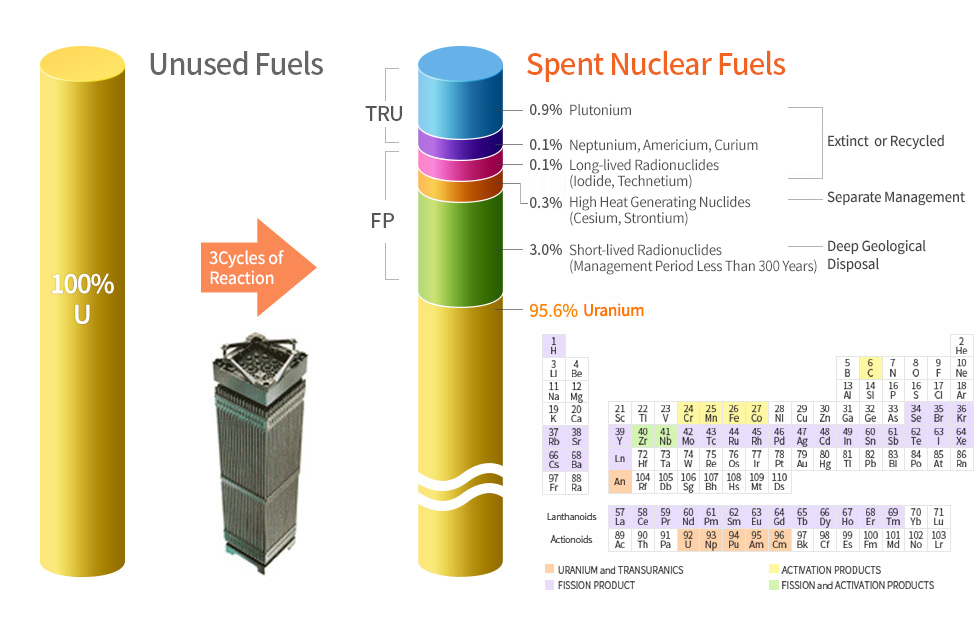 Unused Fuels, 3Cycles of Reaction, Spent Nuclear Fuels
