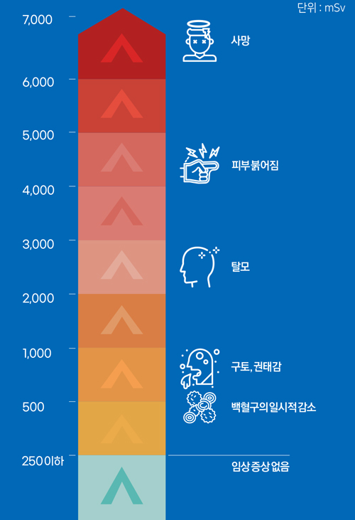 방사선 위험성