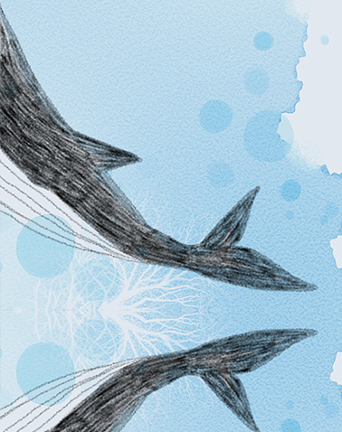 나는 누구일까?