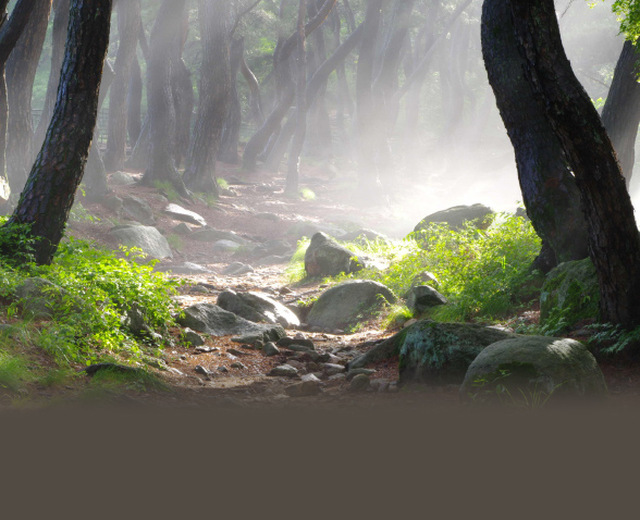 경주 테마 여행 