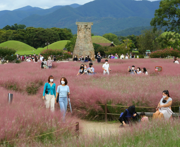 경주 테마 여행 1