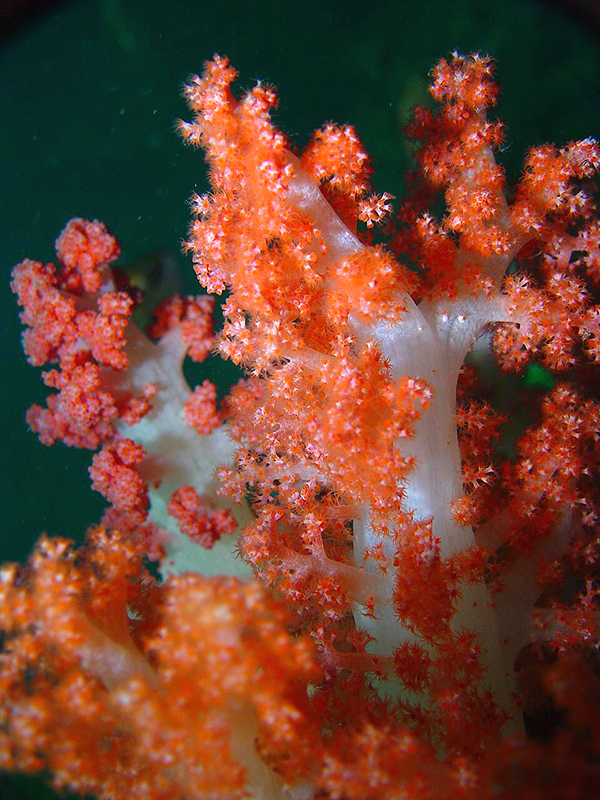 나는 누구일까?