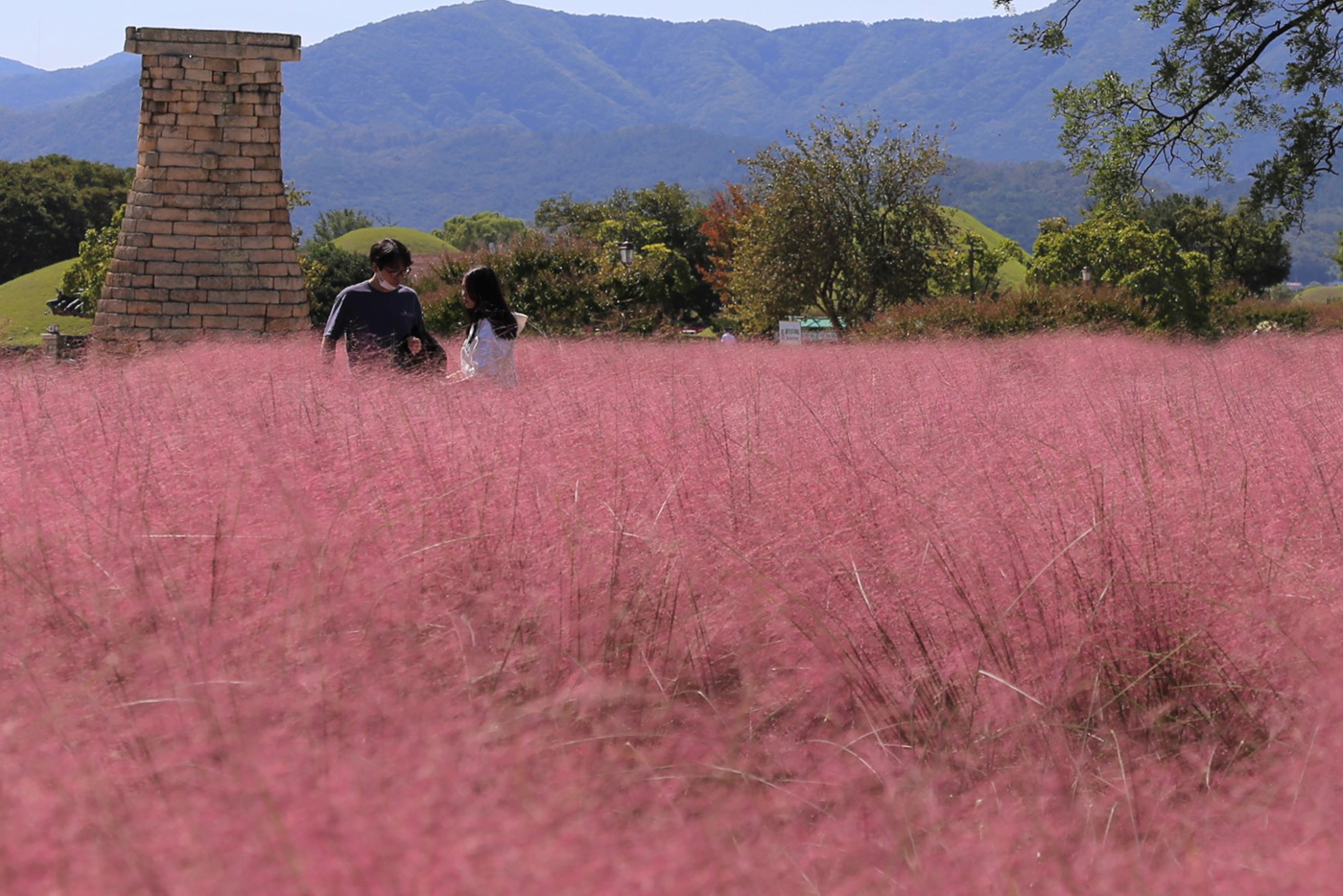 경주 테마 여행