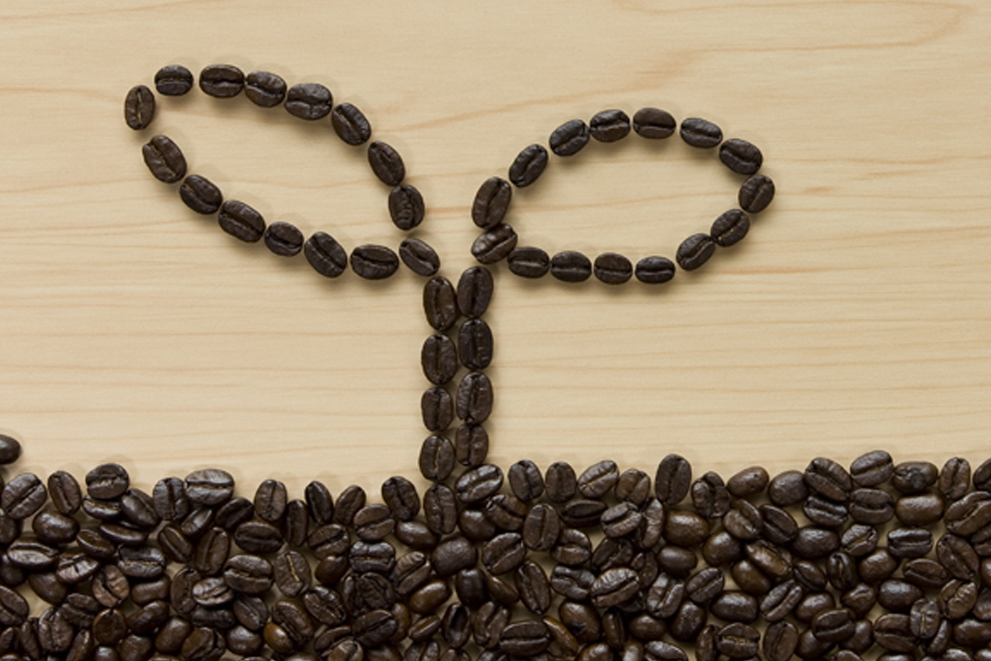 나는 누구일까?