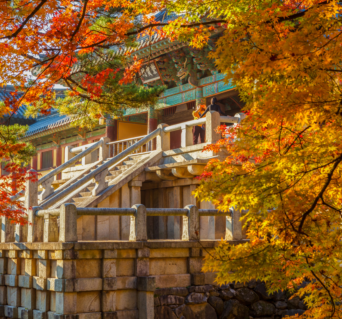 경주 사계 여행